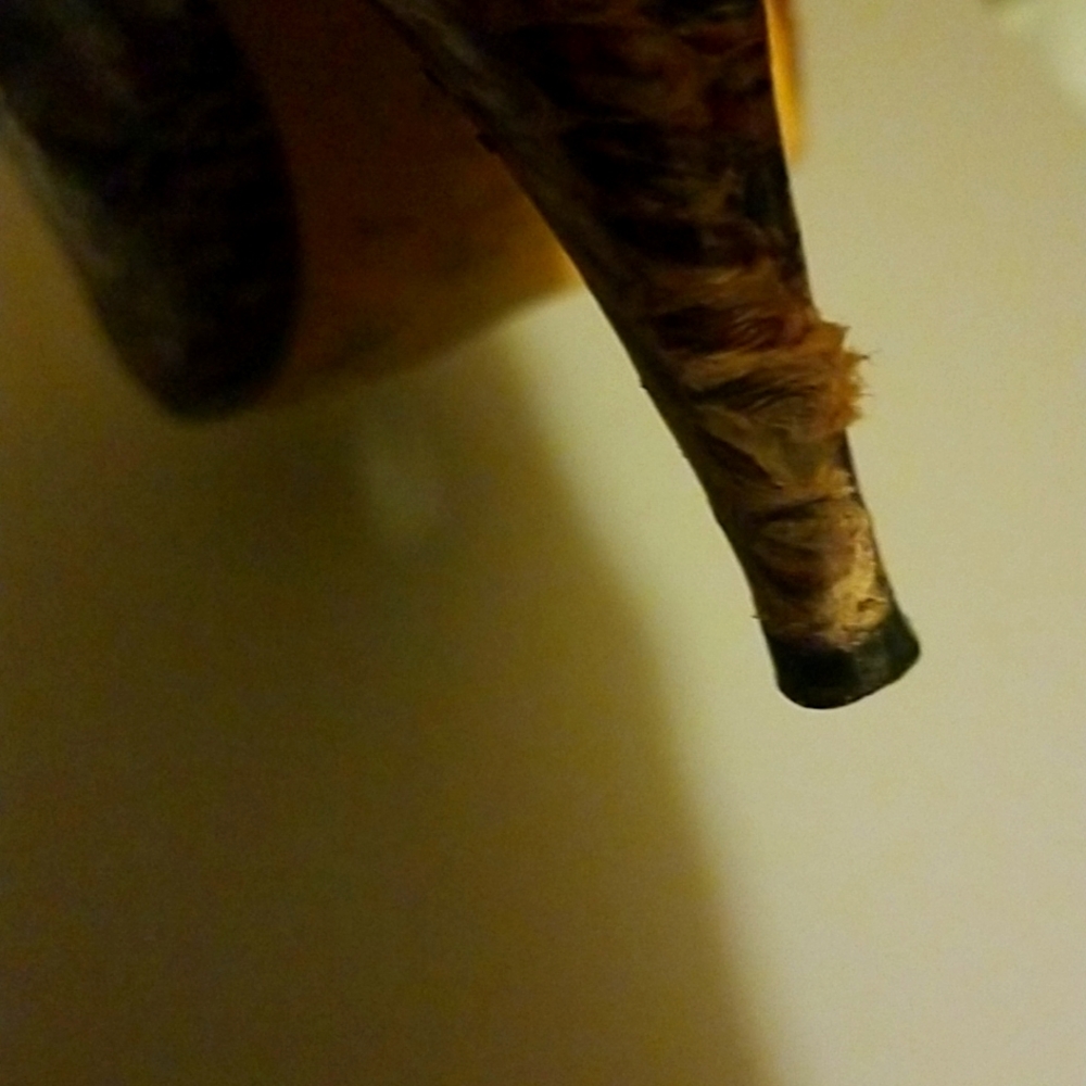 J. RENNE SHOES - Picture 6 of 8